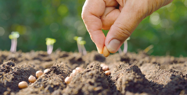 Agriculture durable : la valorisation du margine au cœur d’une initiative nationale