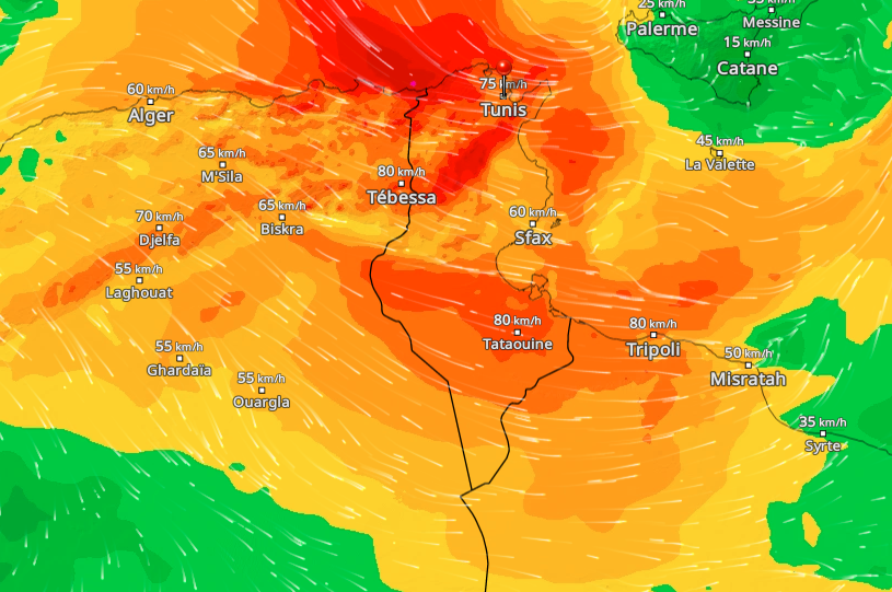 جندوبة: تعليق الدروس بمعتمديتي عين دراهم وطبرقة غدا الجمعة وبعد غد السبت توقيا من مخاطر التقلّبات المناخيّة