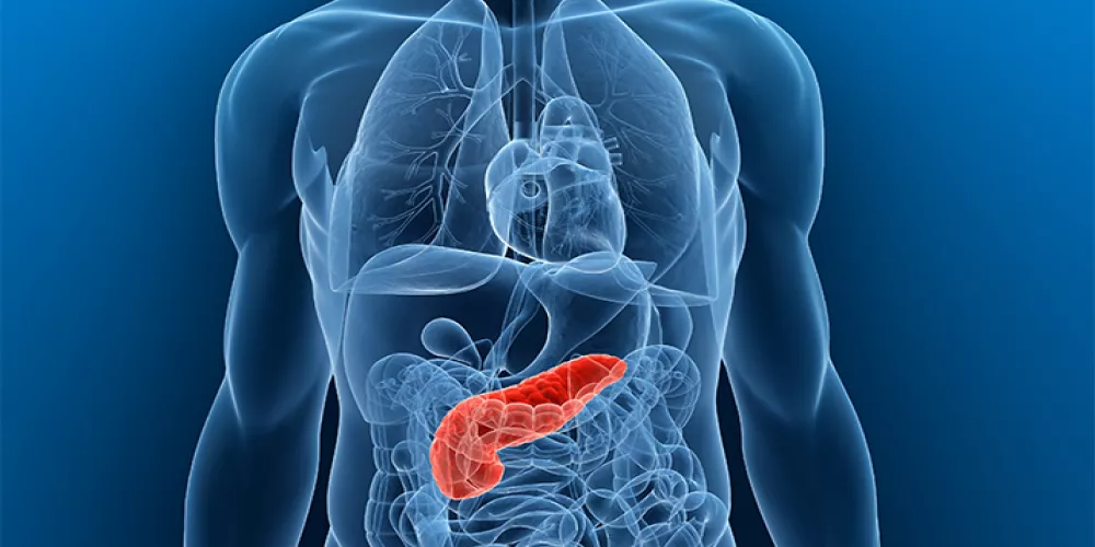 د. سامي دلدول: المُصابون بسرطان البنكرياس في ارتفاع و50% من الإصابات تُشخَّص في مراحل مُتقدّمة