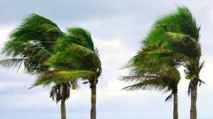 رياح قوية جدا وأمطار غزيرة مرتقبة في تونس ابتداءً من ظهر السبت