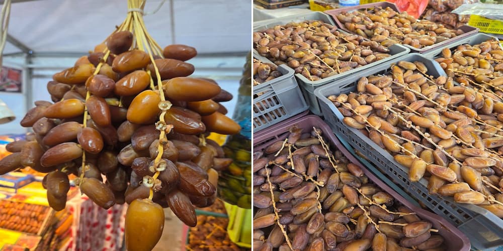 رمضان 2026: تركيز خيمتان بولاتي تونس و المنستير لترويج التمور خلال النصف الاول من شهر فيفري باسعار مناسبة