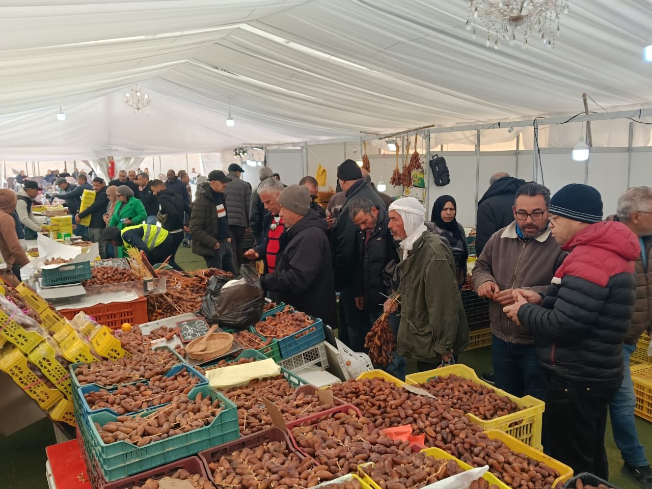 رمضان 2026: تركيز خيمتان بولاتي تونس و المنستير لترويج التمور خلال النصف الاول من شهر فيفري باسعار مناسبة