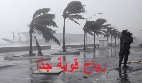 التقلبات الجوية: ولاية أريانة تدعو المواطنين إلى توخي أقصى درجات الحيطة والحذر وتنشر جملة من التوصيات