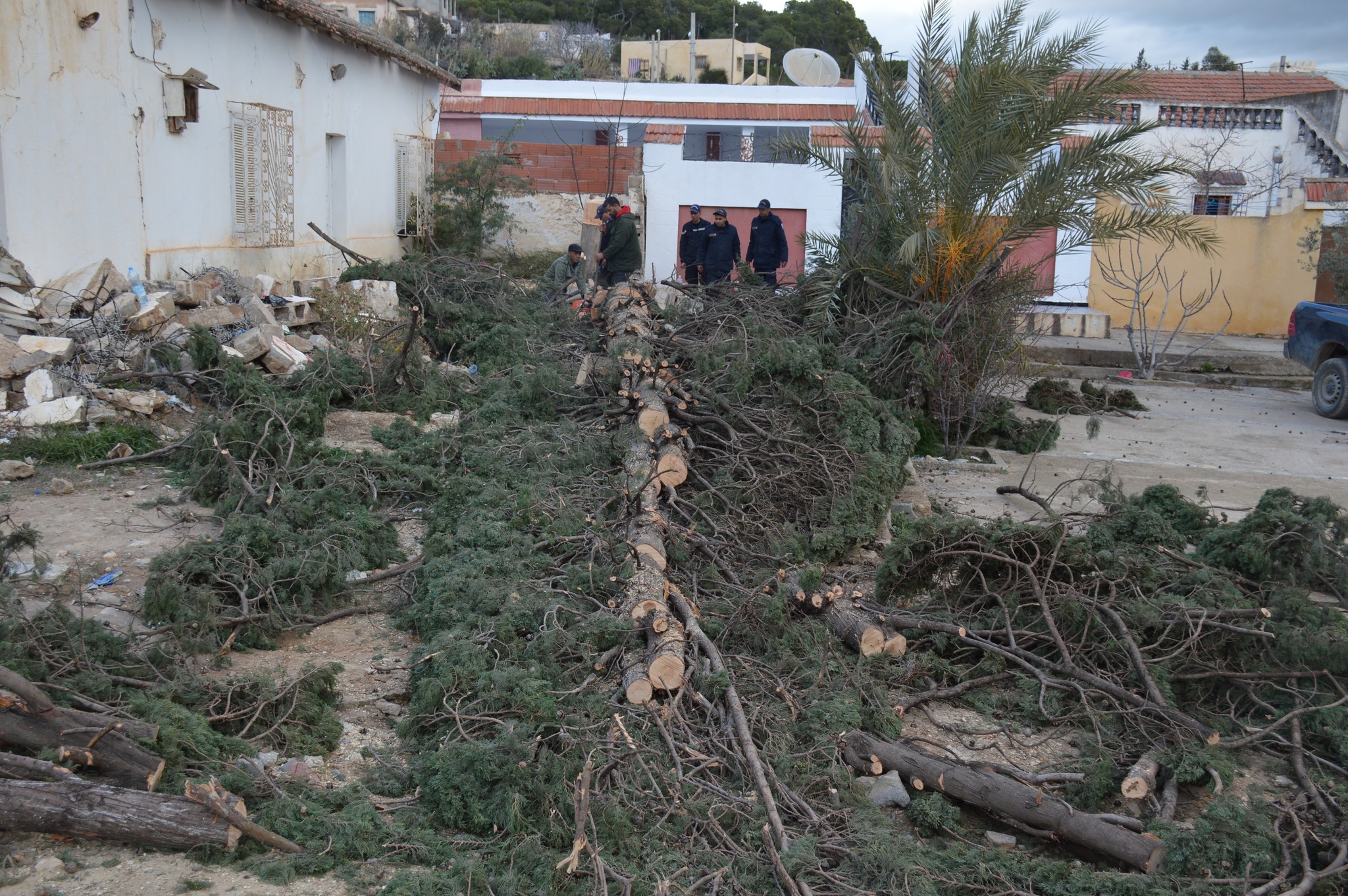 مصالح التجهيز بولاية الكاف تدخلاتها بمعتمديتي نبر والطويرف لازالة الأشجار والأتربة من الطرقات