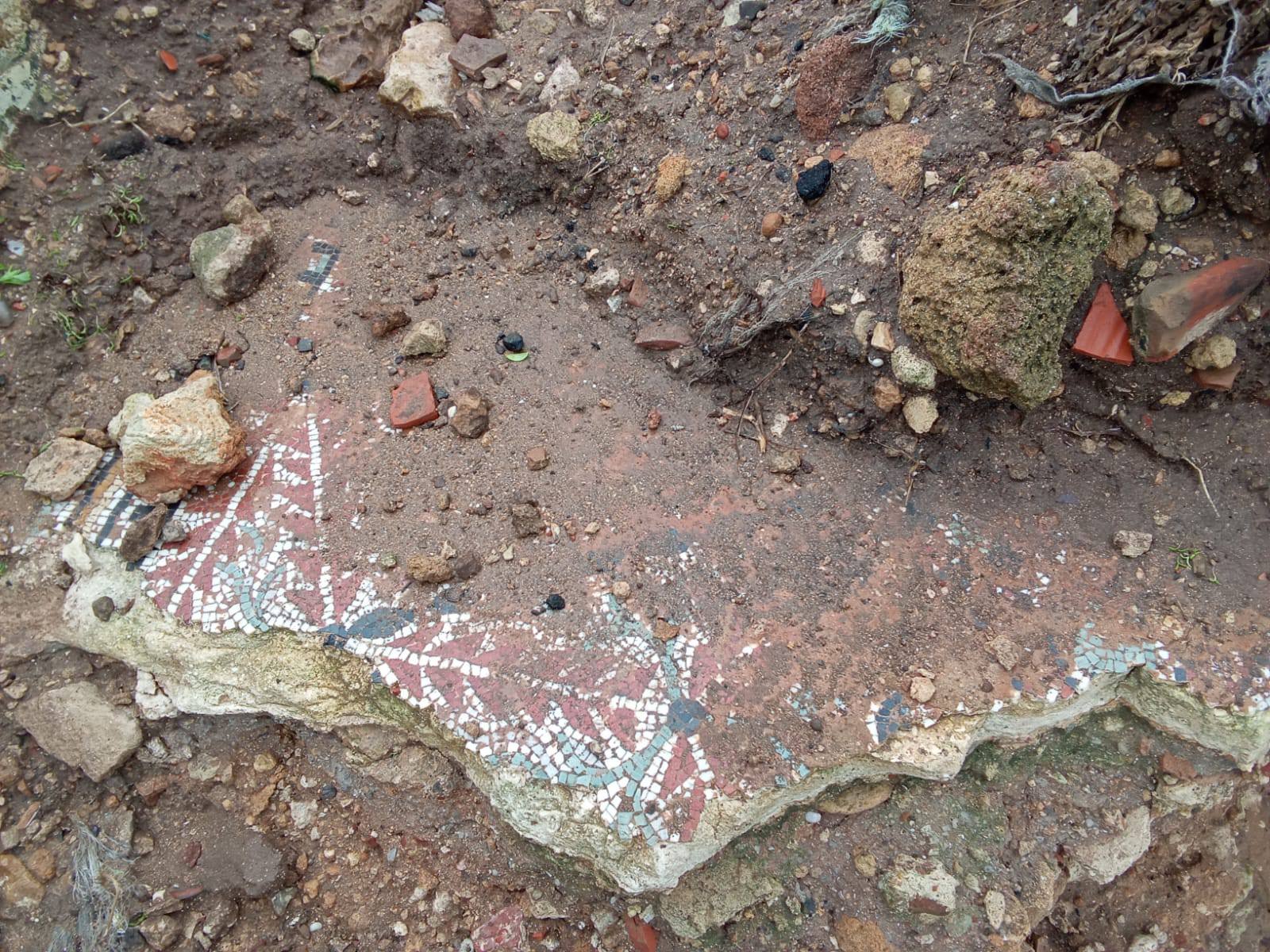 نابل: فريق علمي يتحول إلى الموقع الأثري "مسوا" لرفع الفسيفساء