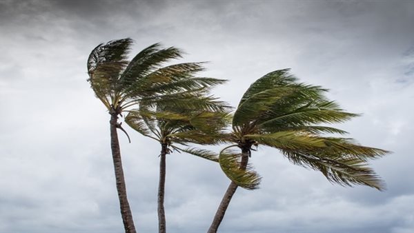 إسناد اللون البرتقالي لـ20 ولاية في الجمهورية