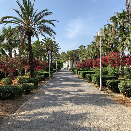 غلق المتنزهات الحضرية اليوم وغدا... بسبب تردي الاحوال الجوية