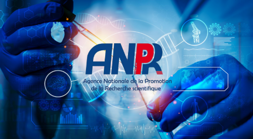 L’Entrepreneuriat Scientifique en Tunisie : Vers une Souveraineté Technologique Durable