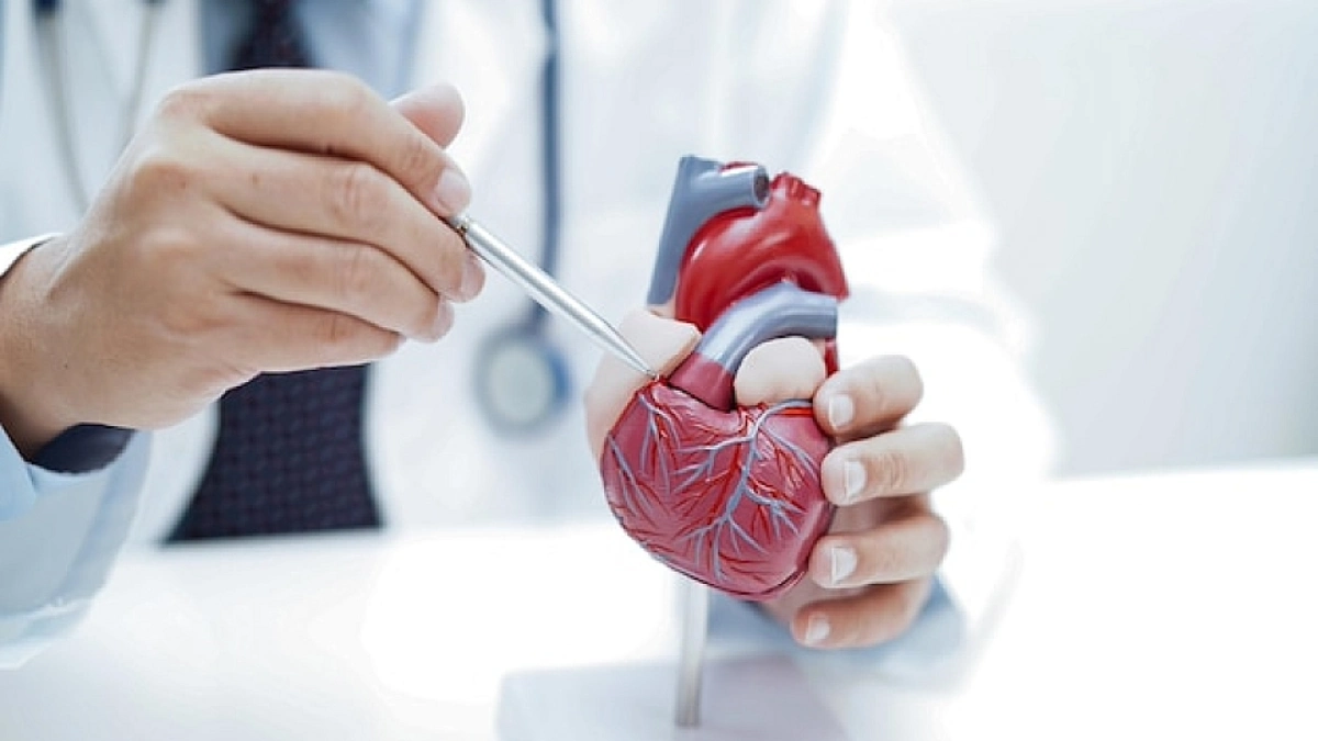 جمعيتا طب الأورام وأمراض القلب والشرايين تنظمان يوما علميا حول اختصاص cardio-oncologie