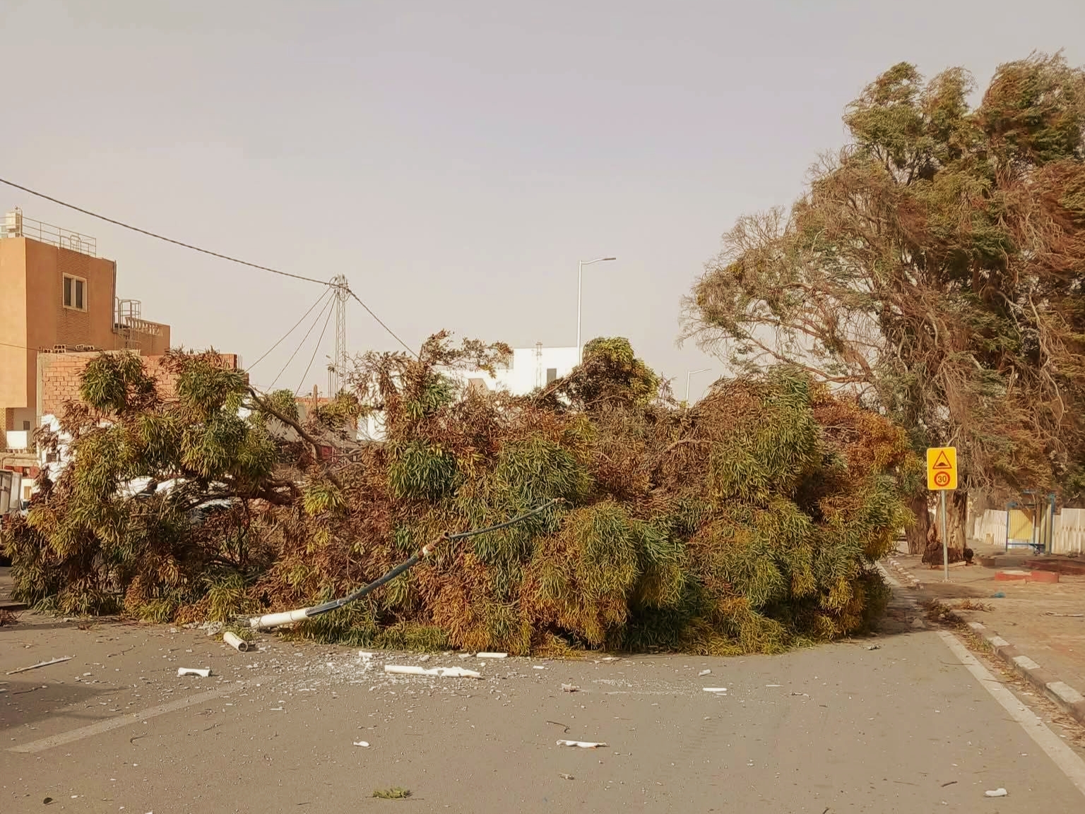 الحماية المدنية تدعو المواطنين إلى توخي أعلى درجات الحيطة والحذر والالتزام التام بإجراءات السلامة