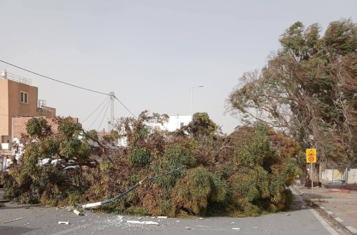 قبلي: سقوط بعض الأشجار وعدد من الأعمدة الكهربائية بمناطق مختلفة بسبب الرياح  القوية