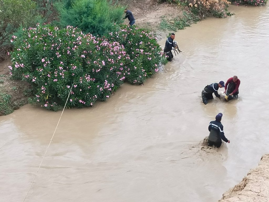 غار الدماء: العثور على جثة كهل جرفته سيول وادي مجردة
