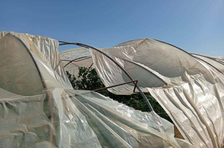 قبلي: تضرّر مشاريع البيوت المحمية جراء الرياح القوية المُسجّلة يوم أمس