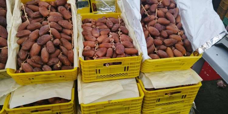 المنستير: نقطة بيع للتمور من المنتج إلى المستهلك بأسعار تفاضلية.