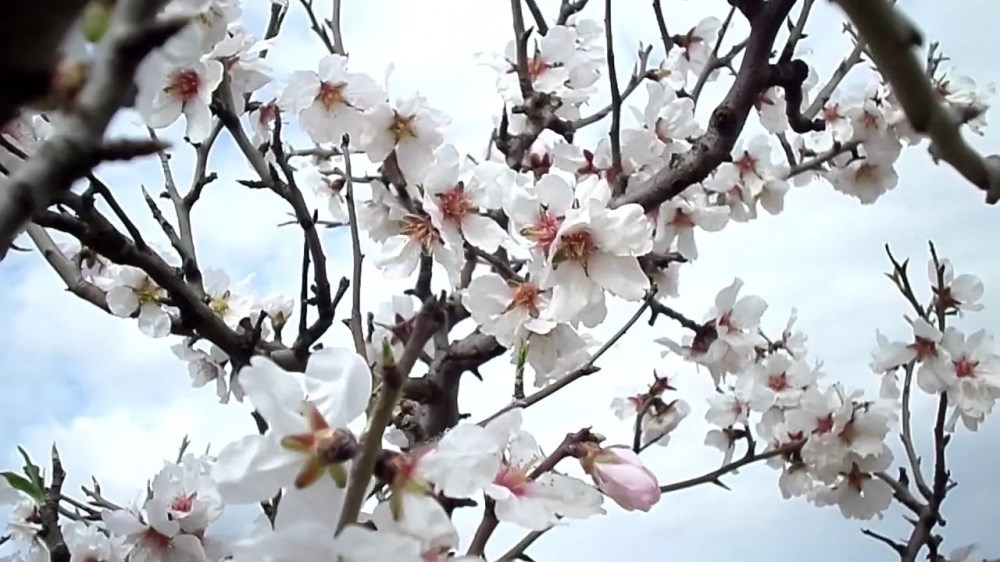 اليوم... دخول فترة العزارة 