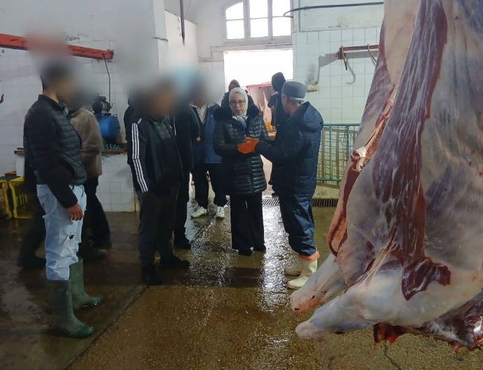 بنزرت: حجز عجل مصاب بمرض السل بالمسلخ البلدي بمنزل بورقيبة