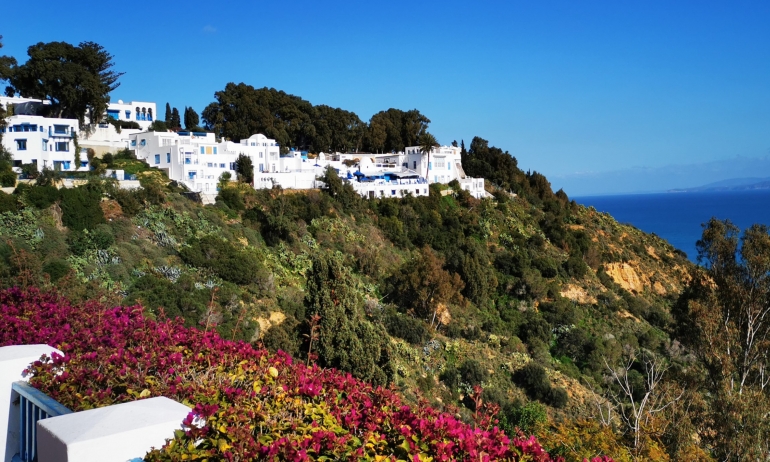 مشروع حماية هضبة سيدي بوسعيد باعتبارها موروث تاريخي وثقافي محور جلسة عمل بوزارة التجهيز