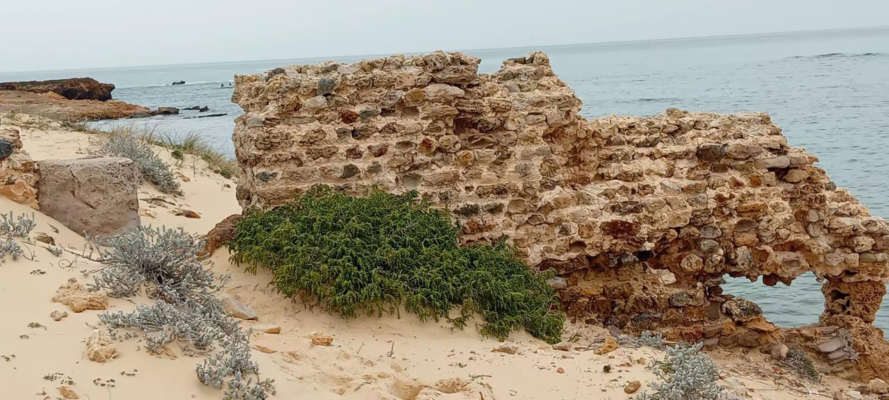 تنقل فريق علمي مختص من المعهد الوطني للتراث لتوثيق ورفع ما تم كشفه من لوحات فسيفسائية ومعالم اثرية برأس انجلة من ولاية بنزرت