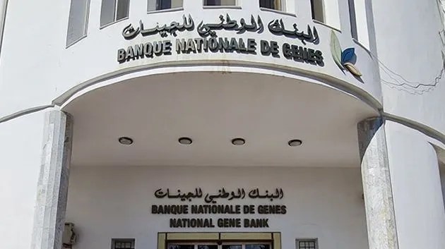 دورة تدريبية حول استخدام تكنولوجيات الحمض النووي البيئي لرصد التنوع البيولوجي والجيني البحري والساحلي