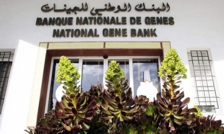 دورة تدريبية حول استخدام تكنولوجيات الحمض النووي البيئي لرصد التنوع البيولوجي والجيني البحري والساحلي.