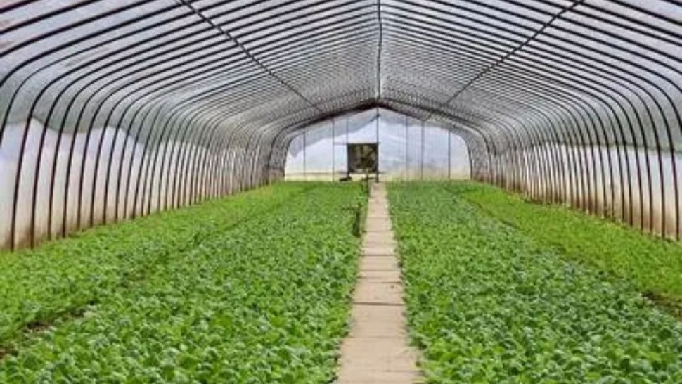 ولاية قبلي: جلسة متابعة لمشروع إحداث محطة دعم للزراعات المحمية والجيوحرارية