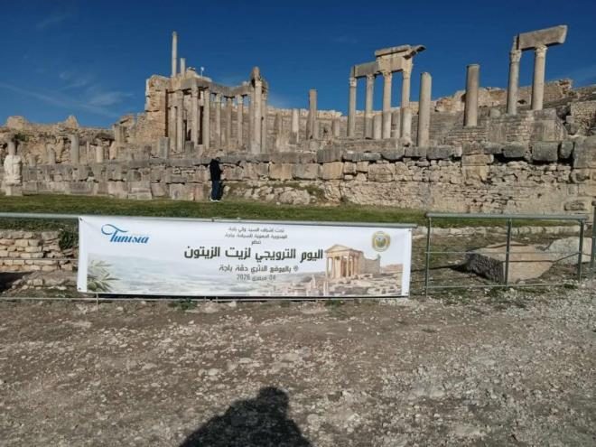 باجة: الموقع الأثري بدقة يستقطب سياحا من عدّة دول خلال يوم ترويجي لزيت زيتون تبرسق