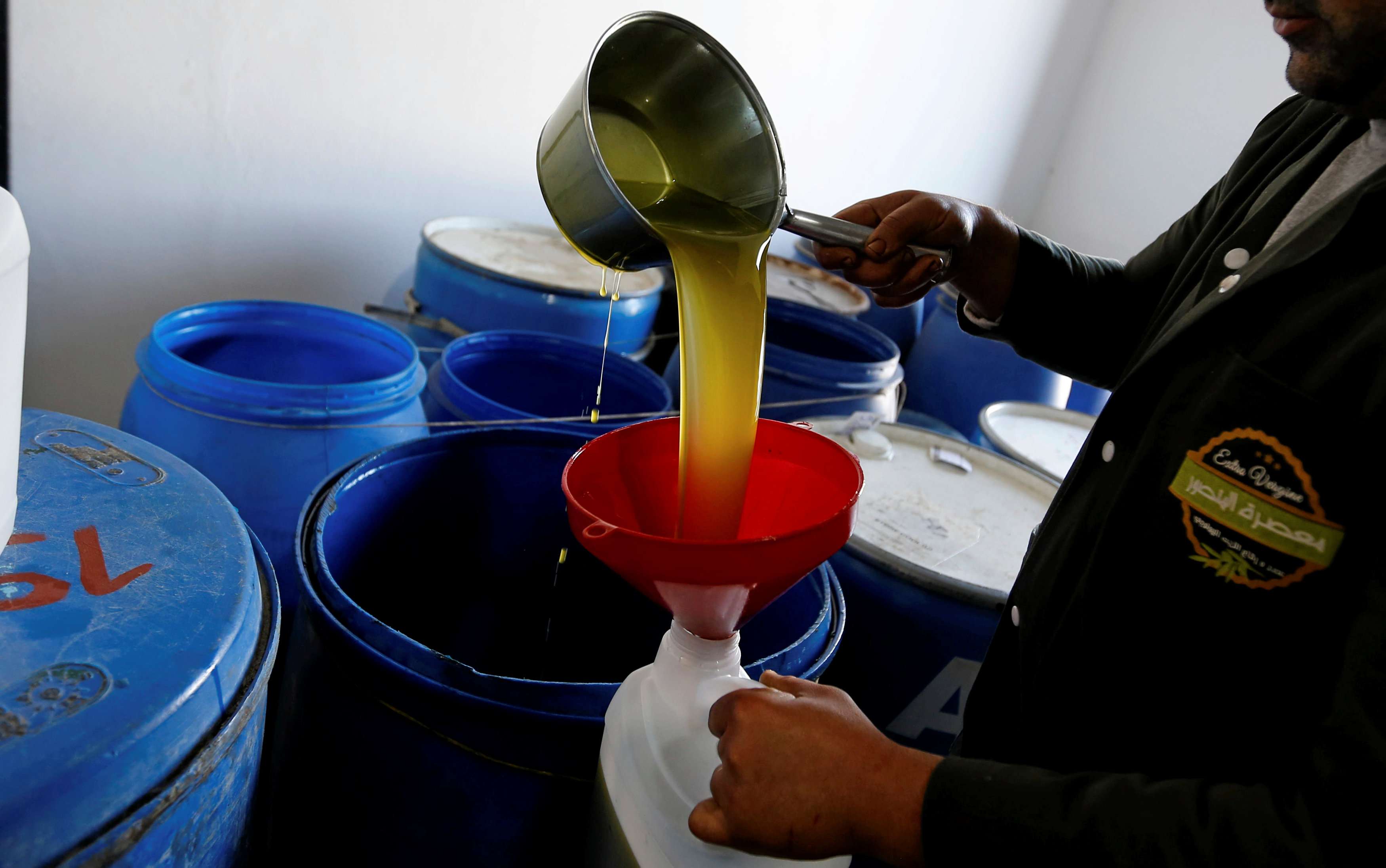 جلسة استماع مشتركة بالبرلمان حول منظومة ترويج زيت الزيتون داخليا وخارجيا