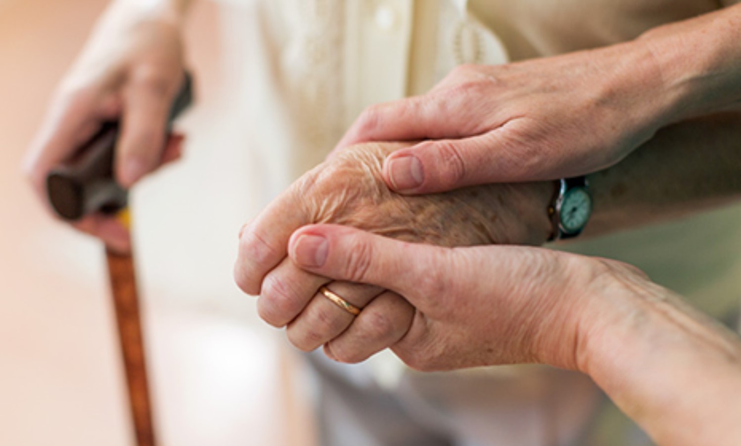 تعزيز الشراكة بين وزارة الأسرة والاتحاد التونسي للتضامن الاجتماعي لتحسين رعاية كبار السن