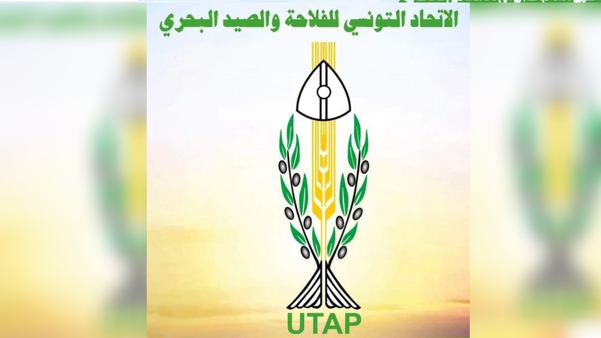 نابل تحتضن الدورة الأولى لصالون الوطن القبلي للفلاحة والإنتاج الحيواني والصيد البحري.