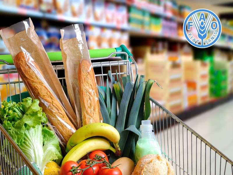 الفاو: أسعار الغذاء العالمية واصلت التراجع في جانفى 