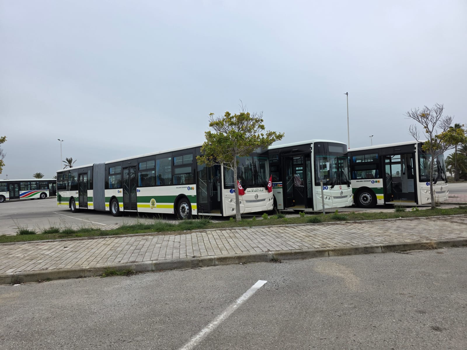 وصول دفعة من الحافلات إلى ميناء حلق الوادي ضمن صفقة دولية لاقتناء 461 حافلة جديدة