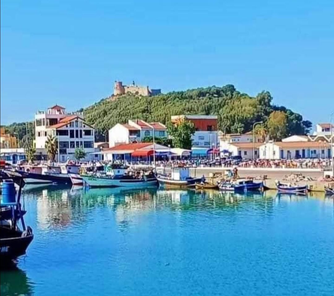 صغار البحارة بطبرقة يطالبون بالدخل لتحسين أوضاعهم الاجتماعية بعد توقف  نشاط الصيد البحري  بسبب  التقلبات المناخية 