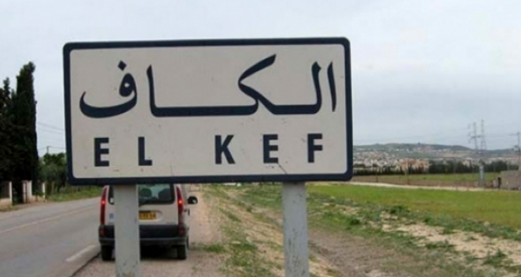 الكاف: تواصل تزويد نقاط بيع اللحوم من المنتج إلى المستهلك خلال شهر رمضان