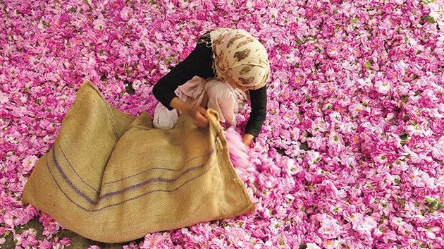  مصالح بلدية رواد تفتح باب الترشح لإنجاز مشروع ثقافي يتعلق بعيد الورد و مهرجان البحر