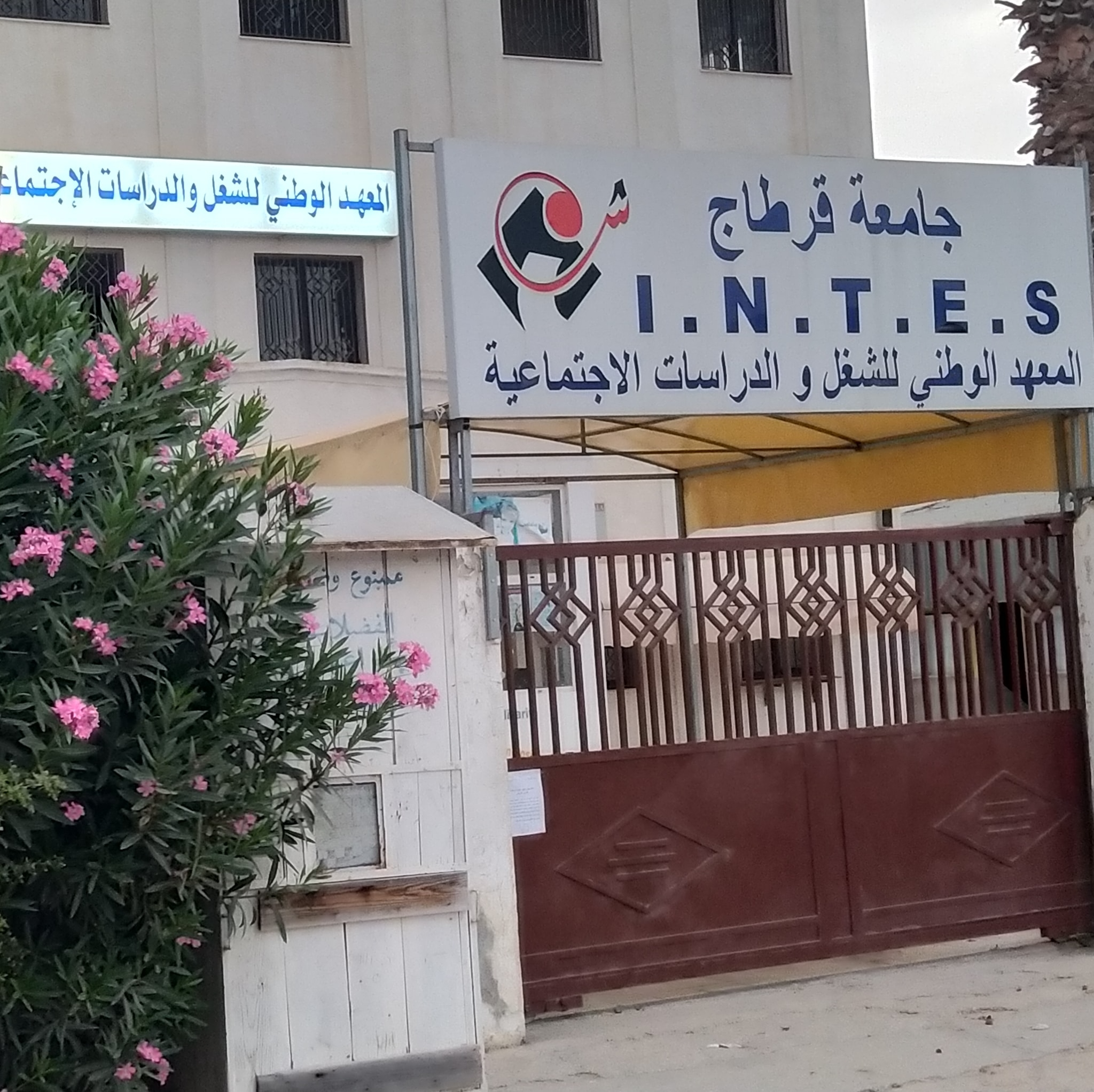 المعهد الوطني للشغل والدراسات الاجتماعية يستعرض مخرجات العدد الخاص من مجلة "العمل والتنمية" حول حماية الطفولة