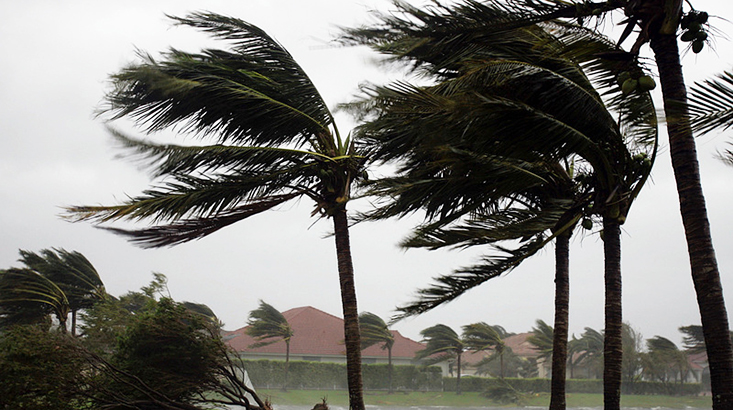 طقس اليوم:رياح قويّة جداً تصل إلى 100 كلم/س وأمطار مُتوقّعة بعدة جهات