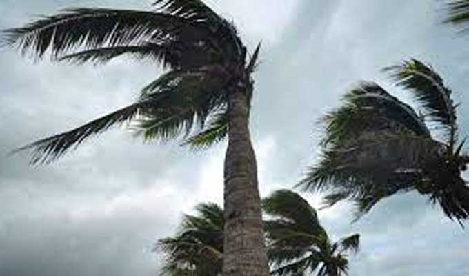 الحماية المدنية توصي بتوخي الحذر والحيطة اللازمة على خلفية توقعات جوية بهبوب رياح قوية مرفوقة بـأمطار متفرقة