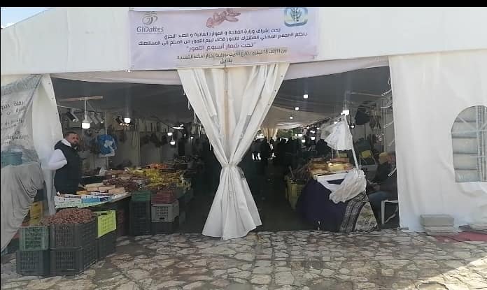 نابل: تنظيم أسبوع التمور بشارع الحبيب بورقيبة.
