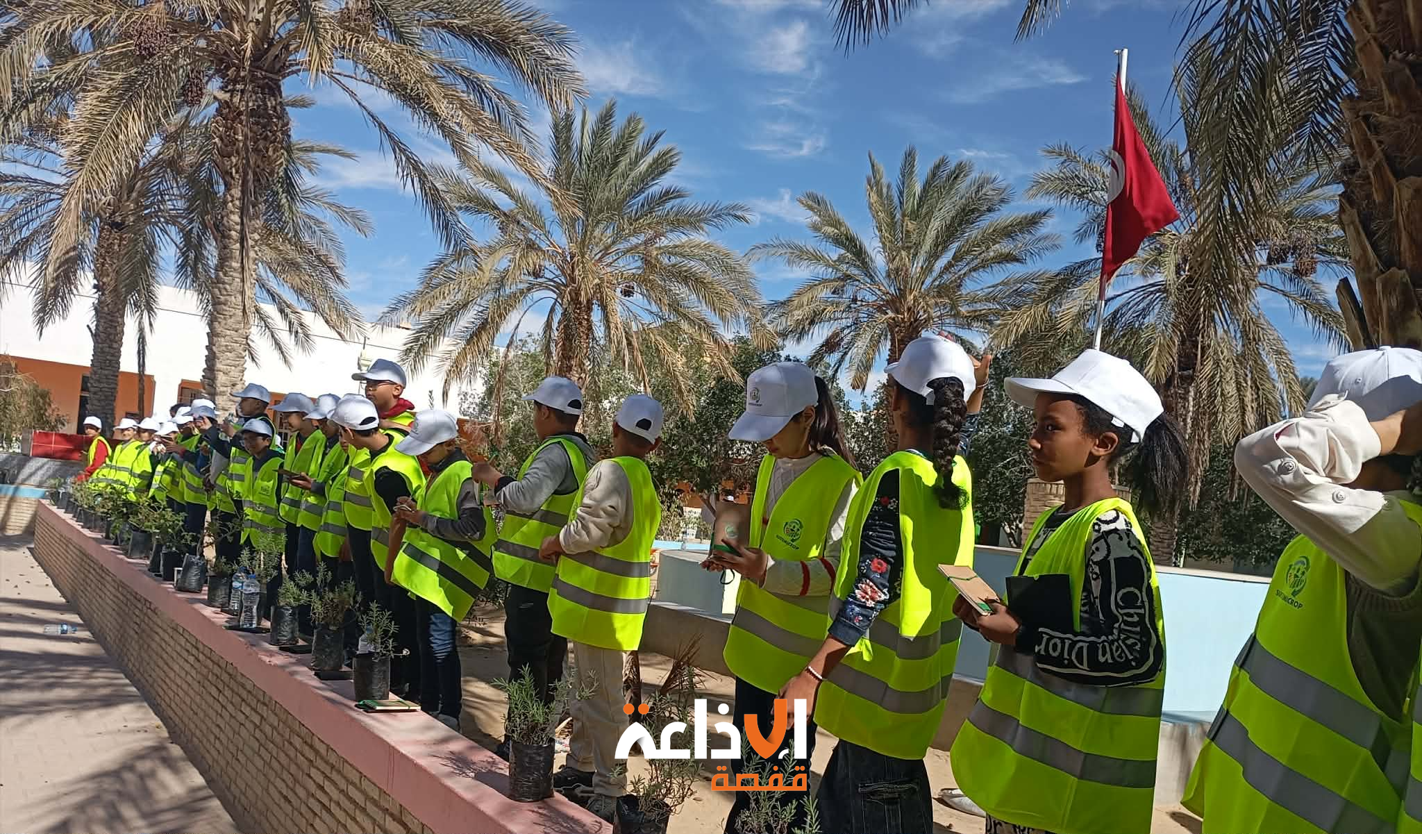 توزر: يوم تحسيسي حول النباتات الطبية والعطرية لفائدة تلاميذ مدرسة نهج الشابي