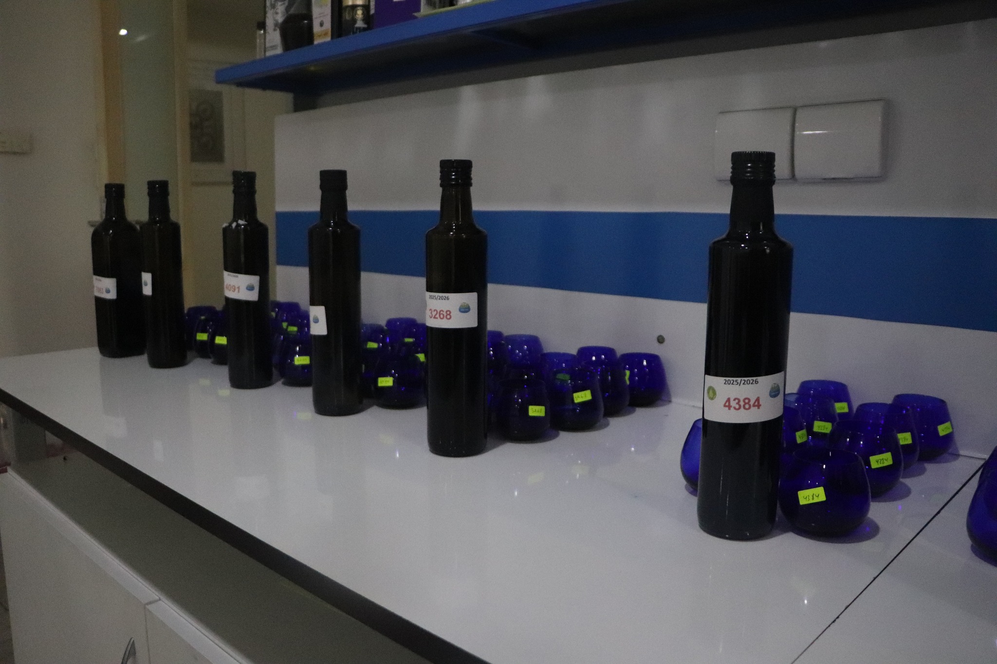 تجاوز العينات المشاركة في إطار الدورة التاسعة لمسابقة أفضل زيت زيتون بكر ممتاز 140 عينة.