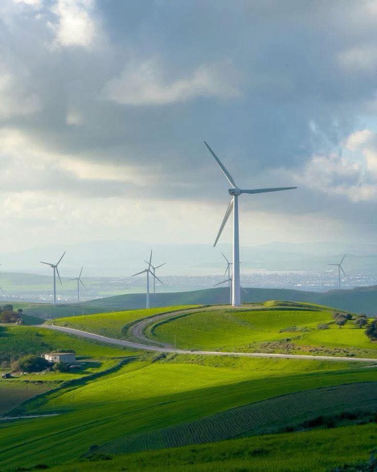 سحب عابرة بأغلب المناطق وتكون أحيانا كثيفة بأقصى الشمال الغربي