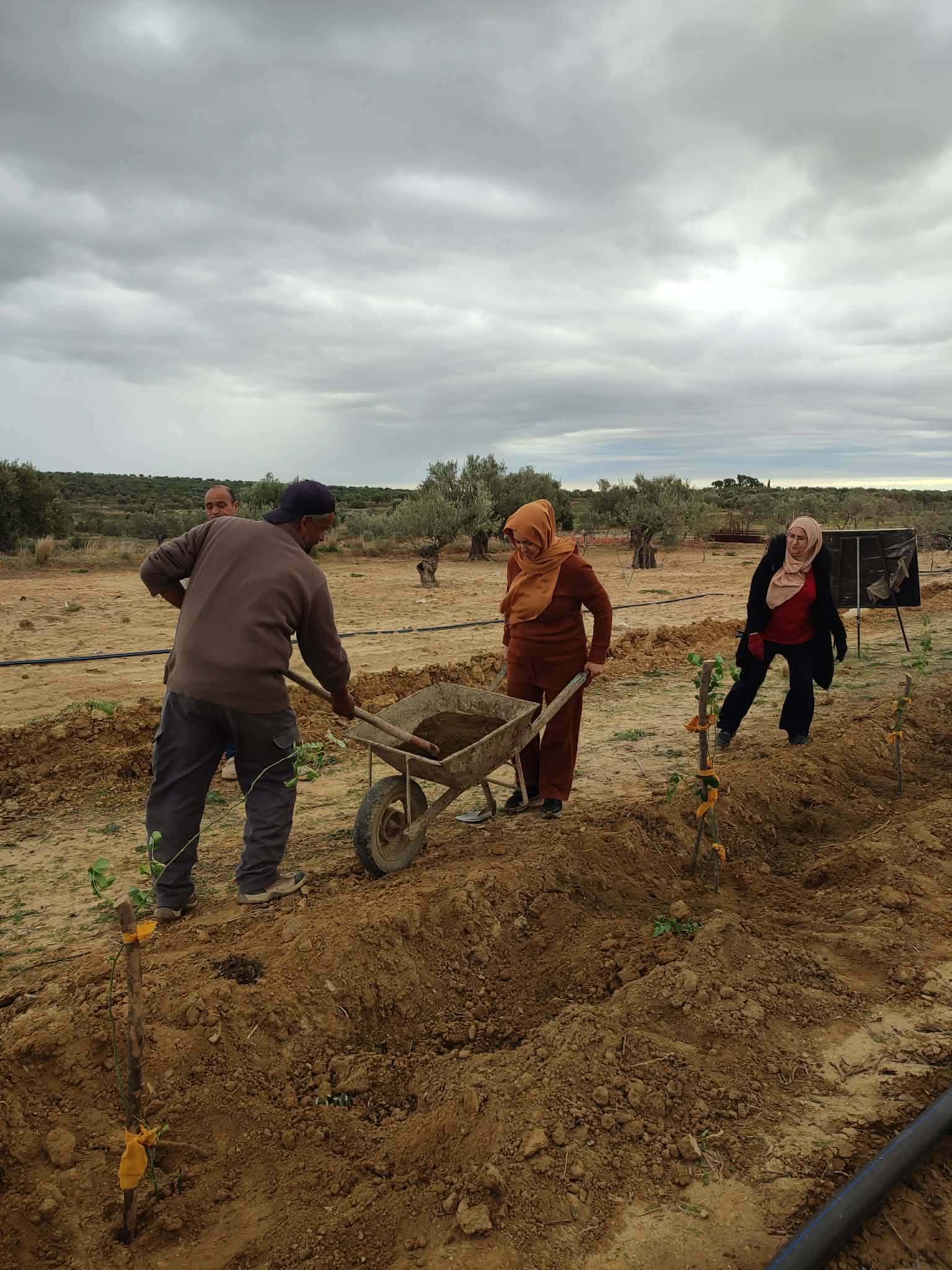 جمّال :يوم تكويني حقلي لفائدة الفلاحات 