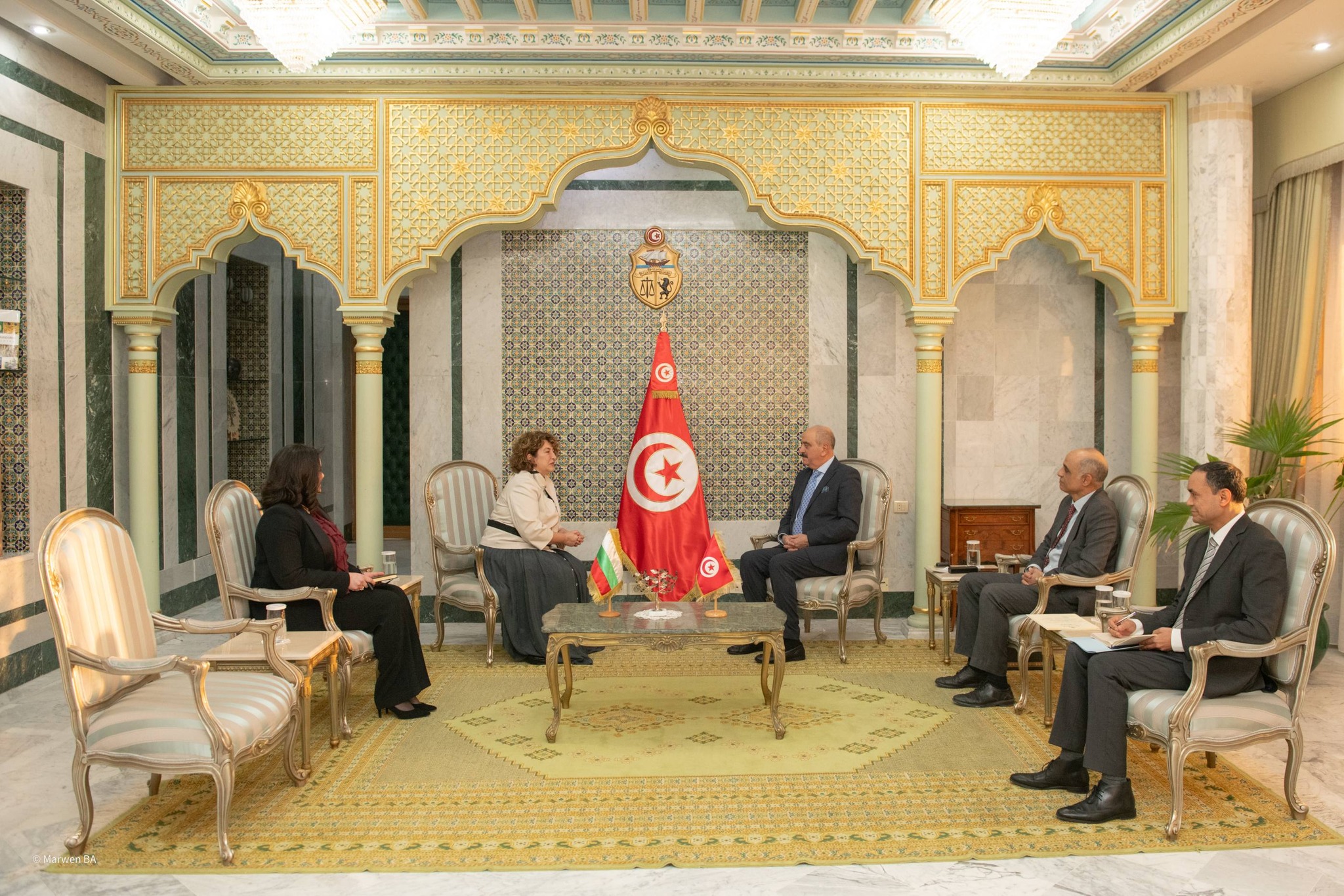 وزير الخارجية يتسلّم نسخة من أوراق اعتماد سفيرة جمهورية بلغاريا الجديدة 