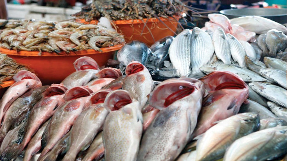 ميزان التجارة الخارجية لمنتوجات الصيد البحري يسجل فائضا بحوالي 284 مليون دينار موفى ديسمبر 2025