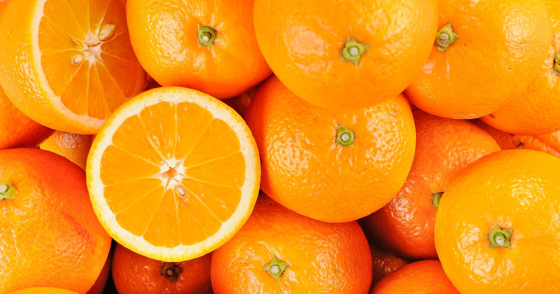 نابل: الاتحاد الجهوي للفلاحة يعبّر عن رفضه لقرار مواصلة تسقيف أسعار البرتقال 