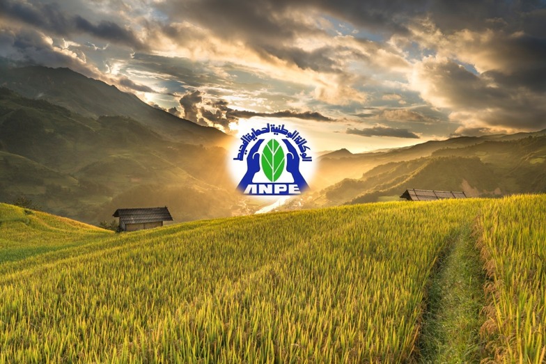 إطلاق المرحلة الثالثة من خطة إدارة التخلص من مواد الهيدروكلوروفلوروكربون