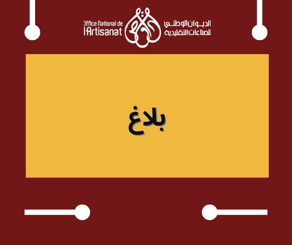 الديوان الوطني للصناعات التقليدية يعتزم تنفيذ عمليات تأهيل حرفي بفضاءات الابتكار في عدد من ولايات الجمهورية