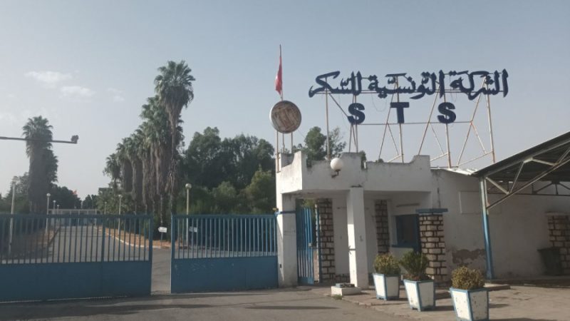 La Société tunisienne du sucre reprend ses activités la semaine prochaine, annonce Fatma Thabet Chiboub
