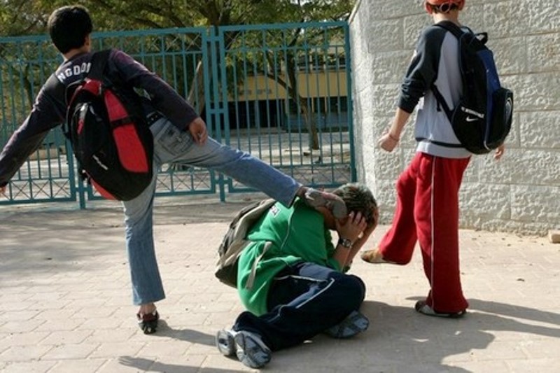 تفشي العنف داخل الوسط المدرسي: اسبابه و مقترحات للتصدي لهذه الظاهرة.