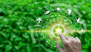 الشركات الناشئة الخضراء